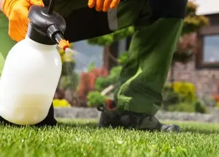 Нацполіція ліквідувала схему фальсифікації с/г продукції провідних світових агроконцернів