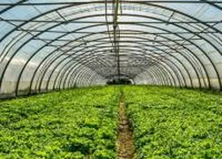 На AgriAcademy з’явився новий професійний онлайн-курс «Тепличні Агро Рішення»