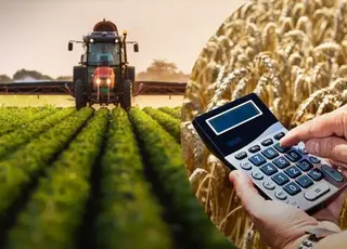 Середня зарплата українських аграріїв продовжує знижуватись