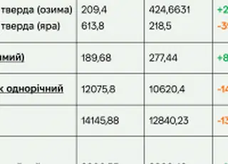 В Україні зросли насіннєві площі під основними культурами