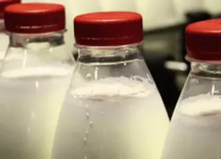 Закупівельні ціни на молоко знижуються на тлі великих надлишків