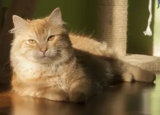 Стало відомо, коли в Україні настане потепління