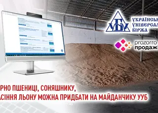 У Прозорро.Продажі відбудуться аукціони з продажу великих партій зерна озимої пшениці, соняшнику, ріпаку та льону