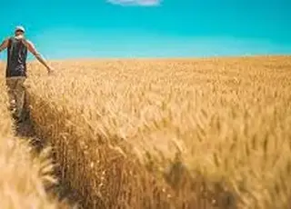 Спадкоємці фермерів не можуть успадкувати землю: закон не визначає їхніх прав