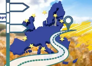 Експерти назвали найперспективніші органічні продукти для експорту до ЄС
