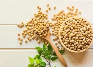 Соя в Україні дорожчає на внутрішньому ринку