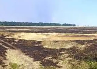 Перше в Україні відшкодування за гуманітарне розмінування отримало господарство з Херсонщини завдяки підтримці ВАР