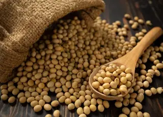 На єгипетському ринку американська соя поступово витісняє українську