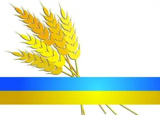 Україна експортувала майже мільйон тонн зерна у новому сезоні 2025/26