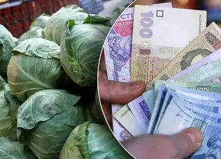 В Україні знову знизилися ціни на капусту