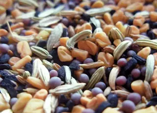 Іспанські фермери поскаржилися до Єврокомісії на мито України на насіння олійних культур