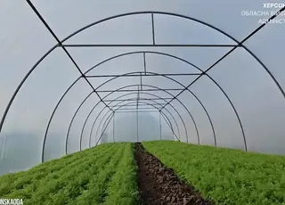 На Херсонщині для працевлаштування переселенців встановили 40 теплиць