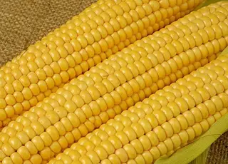 Ціни на кукурудзу ростуть попри логістичні труднощі в портах