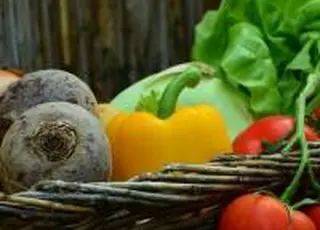 Уряд розширює грантову підтримку агровиробників: запроваджено новий напрям для будівництва овочесховищ та фруктосховищ