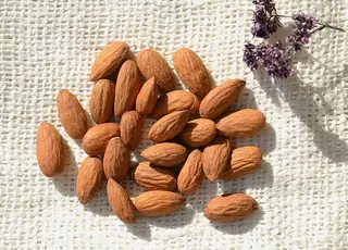 Інститут садівництва та Українська горіхова асоціація визначили стратегію розвитку мигдальництва