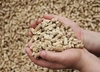 Південна Корея активно купує соєвий шрот