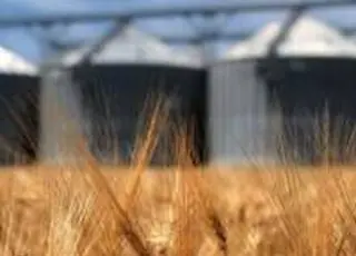 На Чернігівщині запускають проєкт будівництва нового елеватора