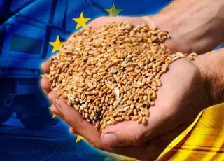 Рада ЄС змінить квоти для українського експорту