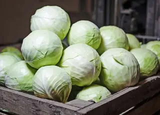 В Україні подешевшала капуста