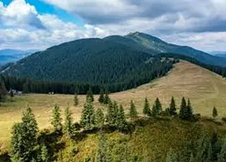 На Полтавщині викрили схему привласнення 100 гектарів земель Нацпарку