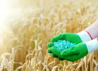 Україна може втратити до $5 млрд експортної виручки через дорогі добрива