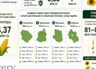 20 млн гектарів попри всі ризики: як завершується посівна-2026