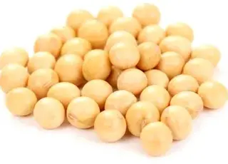 Вчені створили сою з подвійною стійкістю до попелиці та вірусу мозаїки