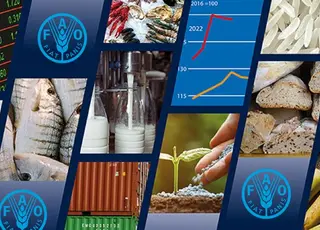 Індекс продовольчих цін ФАО у вересні 2025 року знизився через падіння цін на зернові, молочну продукцію, цукор та олії