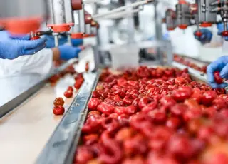 Через російську агресію Україна втратила підприємства з переробки томатів