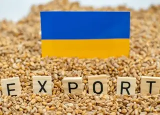 Експорт зерна впав на 20% через обстріли портів і затримку зі збиранням врожаю