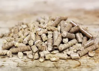 Китай вперше вийшов у лідери серед імпортерів українського ріпакового шроту