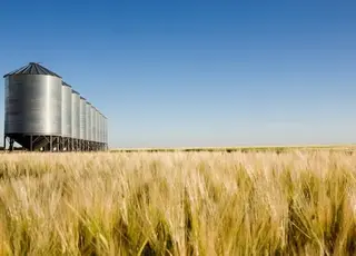 В Україні у 2025 році збудують нові заводи з переробки зерна попри ризики експорту до ЄС