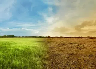 Як українським аграріям перетворити кліматичні зміни на можливості