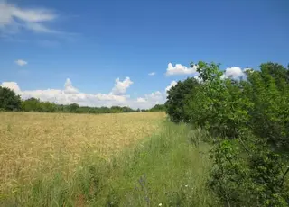 Експерти розповіли, чи можуть сусіди змінювати межі своїх суміжних ділянок за згодою