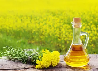 Європа скоротила імпорт ріпаку на 40%, але збільшила закупівлі олії та шроту