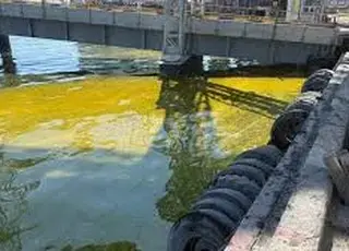 Площа олійної плями в акваторії Чорного моря становить 35,7 кв км