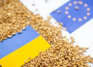 Україна повністю використала річну квоту на експорт пшениці до ЄС