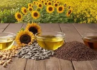 Європа зменшила закупівлі олійних