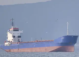 АРМА знайшло покупця на судно, яке возило крадене зерно з Криму