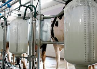 Промислове виробництво молока вийшло на довоєнний рівень