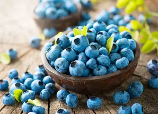 В Україні вперше сертифікували сорти лохини суспільного надбання