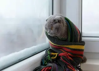 В Україні прогнозують сильні снігопади та арктичне похолодання