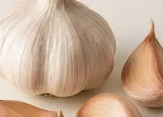 Яким розчином підживлювати часник, щоб сформувалися великі головки