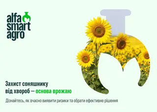 Захист соняшнику від хвороб