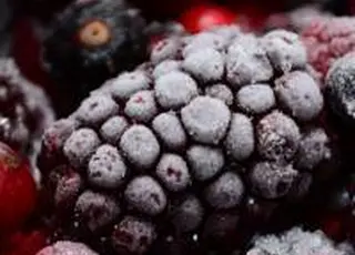 Україна в 2025р скоротила експорт заморожених ягід через погоду та внутрішній попит