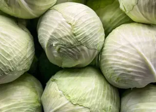 Озвучено оновлені ціни на капусту в Україні