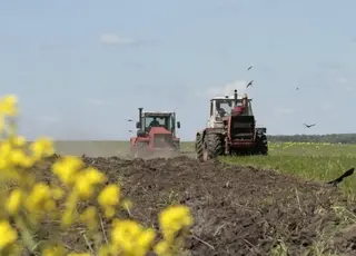 В Україні практично завершена посівна кампанія