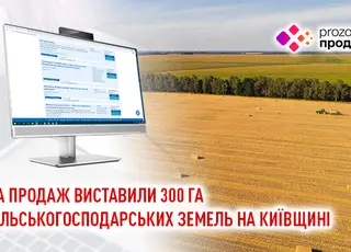 На продаж виставили 300 га сільськогосподарських земель на Київщині