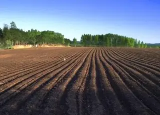 Стало відомо, яка вартість присвоєння кадастрового номера ділянці у листопаді 2025 р