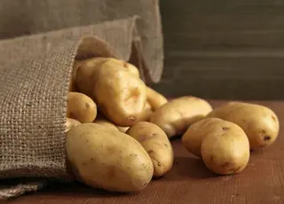 Стало відомо, де і як у квартирі зберігати картоплю взимку